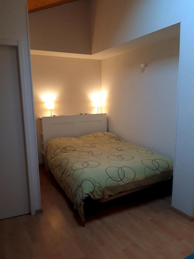 T3 Duplex Lumineux En Centre-Ville 苏斯通 外观 照片